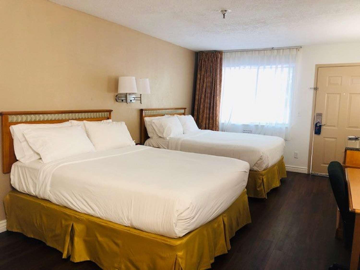 Surestay Plus Hotel By Best Western Albuquerque I-40 Eubank Luaran gambar